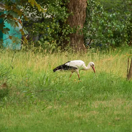 Sleep Space 3 - Tiny Spot Suedpfalz 度假居 *