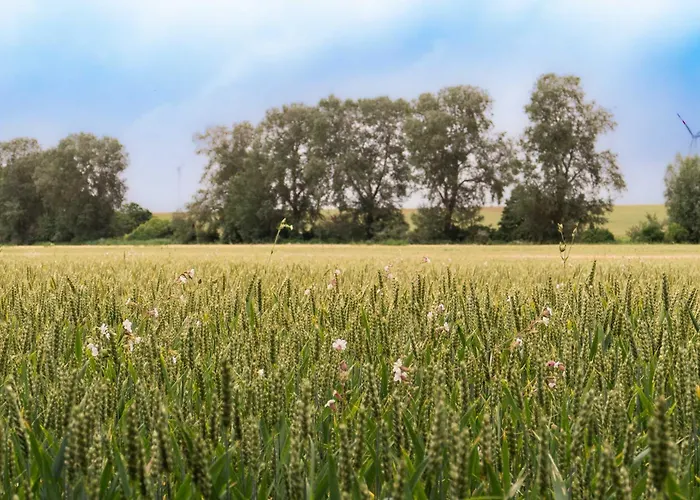 Sleep Space 3 - Tiny Spot Suedpfalz