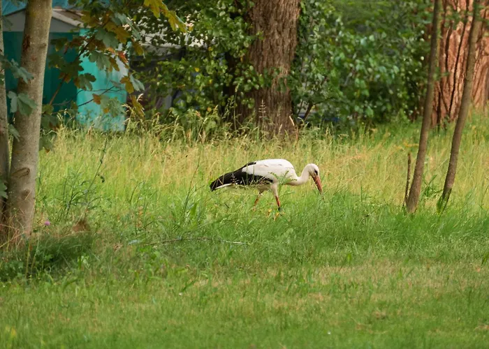 Sleep Space 3 - Tiny Spot Suedpfalz בית נופש *