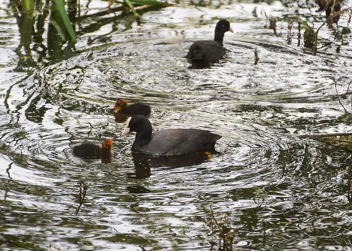 בית נופש Sleep Space 3 - Tiny Spot Suedpfalz Rülzheim