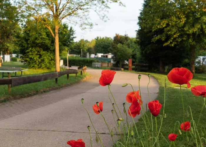 בית נופש Sleep Space 3 - Tiny Spot Suedpfalz